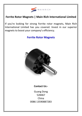 Ferrite Rotor Magnets Main Rich International Limited