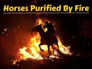 Horses purified by fire