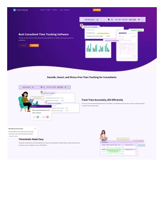 Time Tracking Software for Consultant