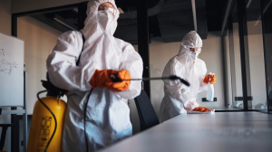 Pest Control In Pune